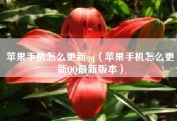 苹果手机怎么更新qq（苹果手机怎么更新QQ最新版本）