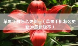 苹果手机怎么更新qq（苹果手机怎么更新QQ最新版本）