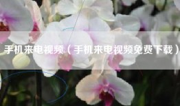 手机来电视频（手机来电视频免费下载）