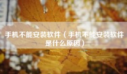 手机不能安装软件（手机不能安装软件是什么原因）