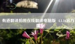 有道翻译拍照在线翻译电脑版  4.1.16官方版