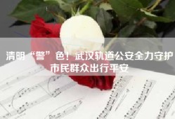 清明“警”色！武汉轨道公安全力守护市民群众出行平安