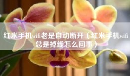 红米手机wifi老是自动断开（红米手机wifi总是掉线怎么回事）