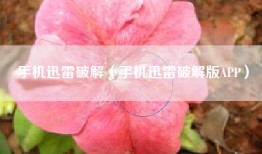 手机迅雷破解（手机迅雷破解版APP）