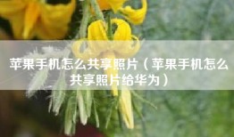 苹果手机怎么共享照片（苹果手机怎么共享照片给华为）