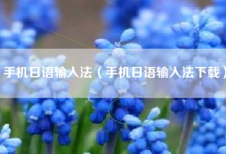 手机日语输入法（手机日语输入法下载）