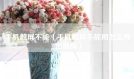手机触屏不能（手机触屏不能用怎么导出数据）