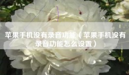 苹果手机没有录音功能（苹果手机没有录音功能怎么设置）