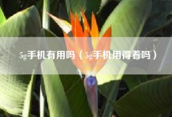 5g手机有用吗（5g手机用得着吗）