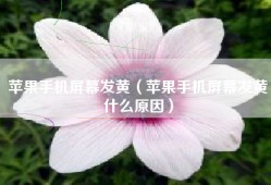 苹果手机屏幕发黄（苹果手机屏幕发黄什么原因）