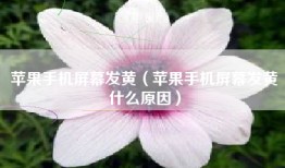 苹果手机屏幕发黄（苹果手机屏幕发黄什么原因）