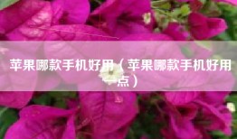 苹果哪款手机好用（苹果哪款手机好用一点）