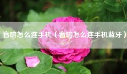 音响怎么连手机（音响怎么连手机蓝牙）