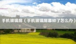 手机玻璃屏（手机玻璃屏幕碎了怎么办）