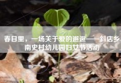 春日里，一场关于爱的邂逅——斜店乡南史村幼儿园妇女节活动