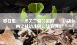 春日里，一场关于爱的邂逅——斜店乡南史村幼儿园妇女节活动