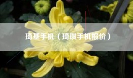 琦基手机（琦琪手机报价）