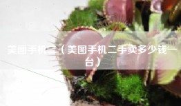 美图手机二（美图手机二手卖多少钱一台）