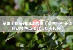 苹果手机关闭自动续费（苹果手机关闭自动续费点击订阅后无反应）