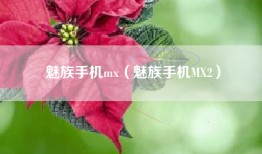 魅族手机mx（魅族手机MX2）