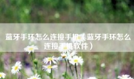 蓝牙手环怎么连接手机（蓝牙手环怎么连接手机软件）