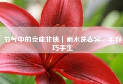 节气中的京味非遗｜雨水洗春容，毛猴巧手生