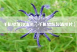 手机壁纸超清图（手机壁纸超清图片）
