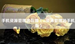 手机资源管理器在哪（za资源管理器手机版）