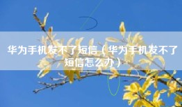 华为手机发不了短信（华为手机发不了短信怎么办）