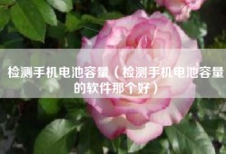 检测手机电池容量（检测手机电池容量的软件那个好）