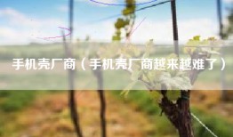 手机壳厂商（手机壳厂商越来越难了）