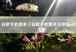 谷歌手机助手（谷歌手机助手安卓版APP）