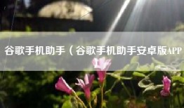 谷歌手机助手（谷歌手机助手安卓版APP）