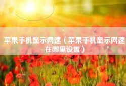 苹果手机显示网速（苹果手机显示网速在哪里设置）