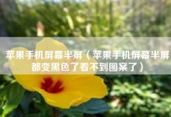 苹果手机屏幕半屏（苹果手机屏幕半屏都变黑色了看不到图案了）
