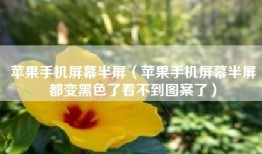 苹果手机屏幕半屏（苹果手机屏幕半屏都变黑色了看不到图案了）
