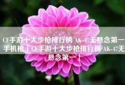 CF手游十大步枪排行榜 AK-47无悬念第一手机枪「CF手游十大步枪排行榜 AK-47无悬念第一」