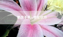 更改手机ip地址软件