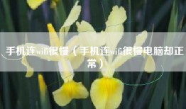 手机连wifi很慢（手机连wifi很慢电脑却正常）