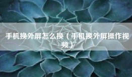 手机换外屏怎么换（手机换外屏操作视频）