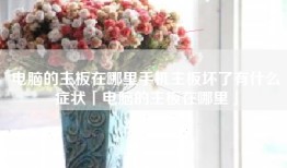 电脑的主板在哪里手机主板坏了有什么症状「电脑的主板在哪里」