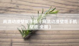 高清动漫壁纸手机（高清动漫壁纸手机壁纸 全屏）