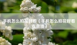 手机怎么拍花好看（手机怎么拍花好看有意境）