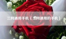 三网通用手机（三网通用的手机）