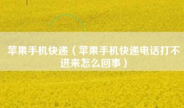 苹果手机快递（苹果手机快递电话打不进来怎么回事）
