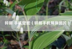 碎屏 手机壁纸（碎屏手机屏保图片）