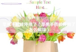 苹果手机被停用了（苹果手机被停用了怎么解除）