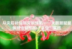 从灾后补偿到灾前预防——大数据赋能保险业转型的“平安”实践