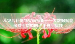 从灾后补偿到灾前预防——大数据赋能保险业转型的“平安”实践