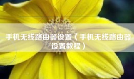 手机无线路由器设置（手机无线路由器设置教程）